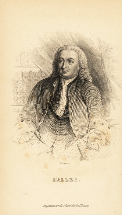 Albrecht von Haller, Swiss anatomist, naturalist and poet, 1708-1777 by Unknown